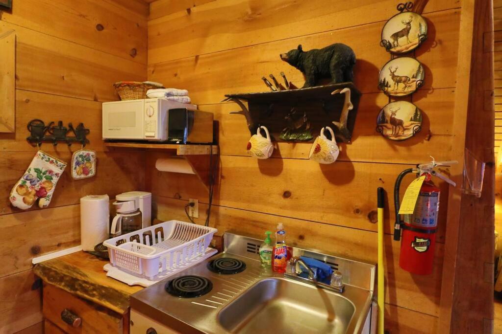 Cozy Cabin W/ Fireplace 3 Minutes To Helen! #2. Exteriör bild